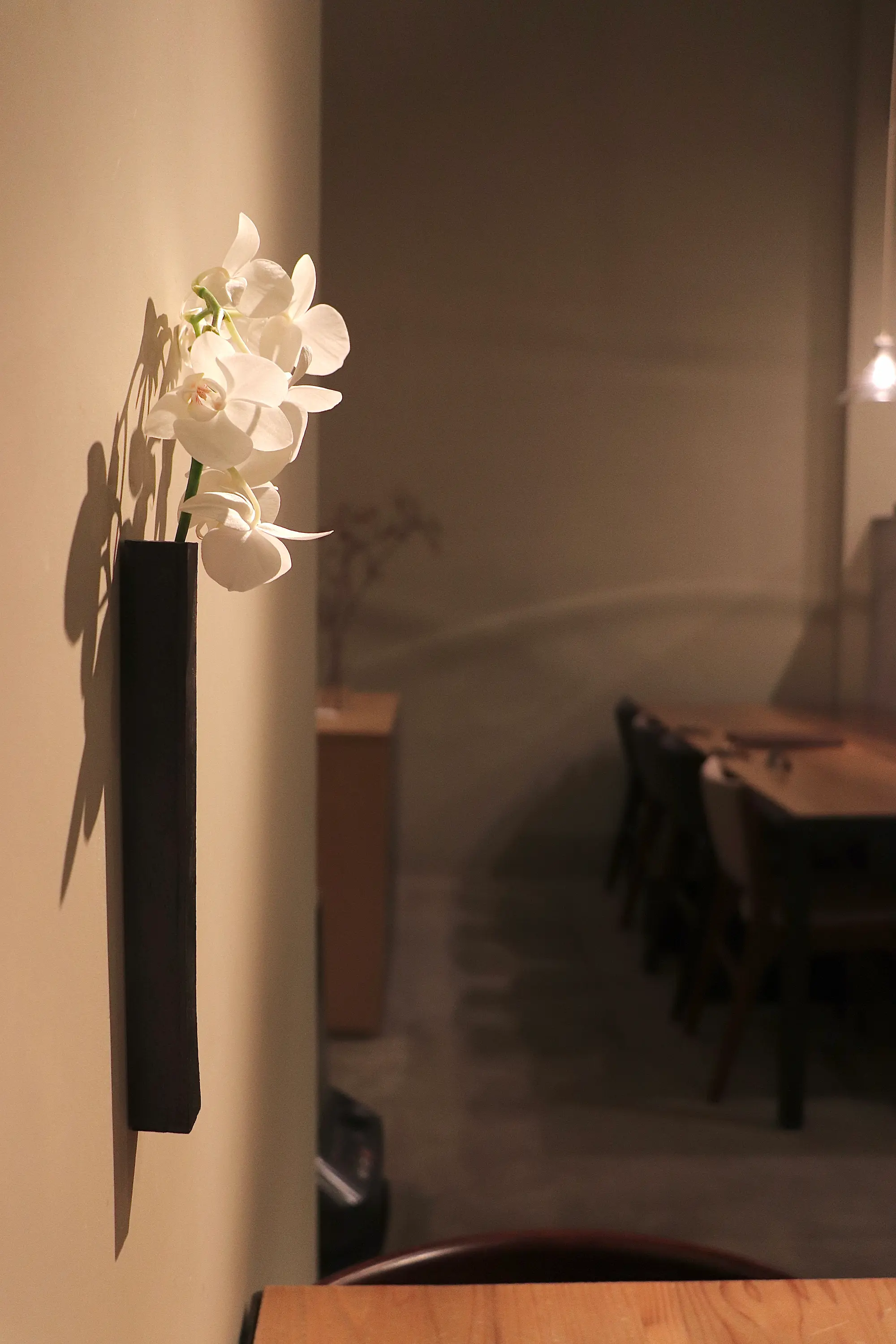 Welcoming Our First Autumn