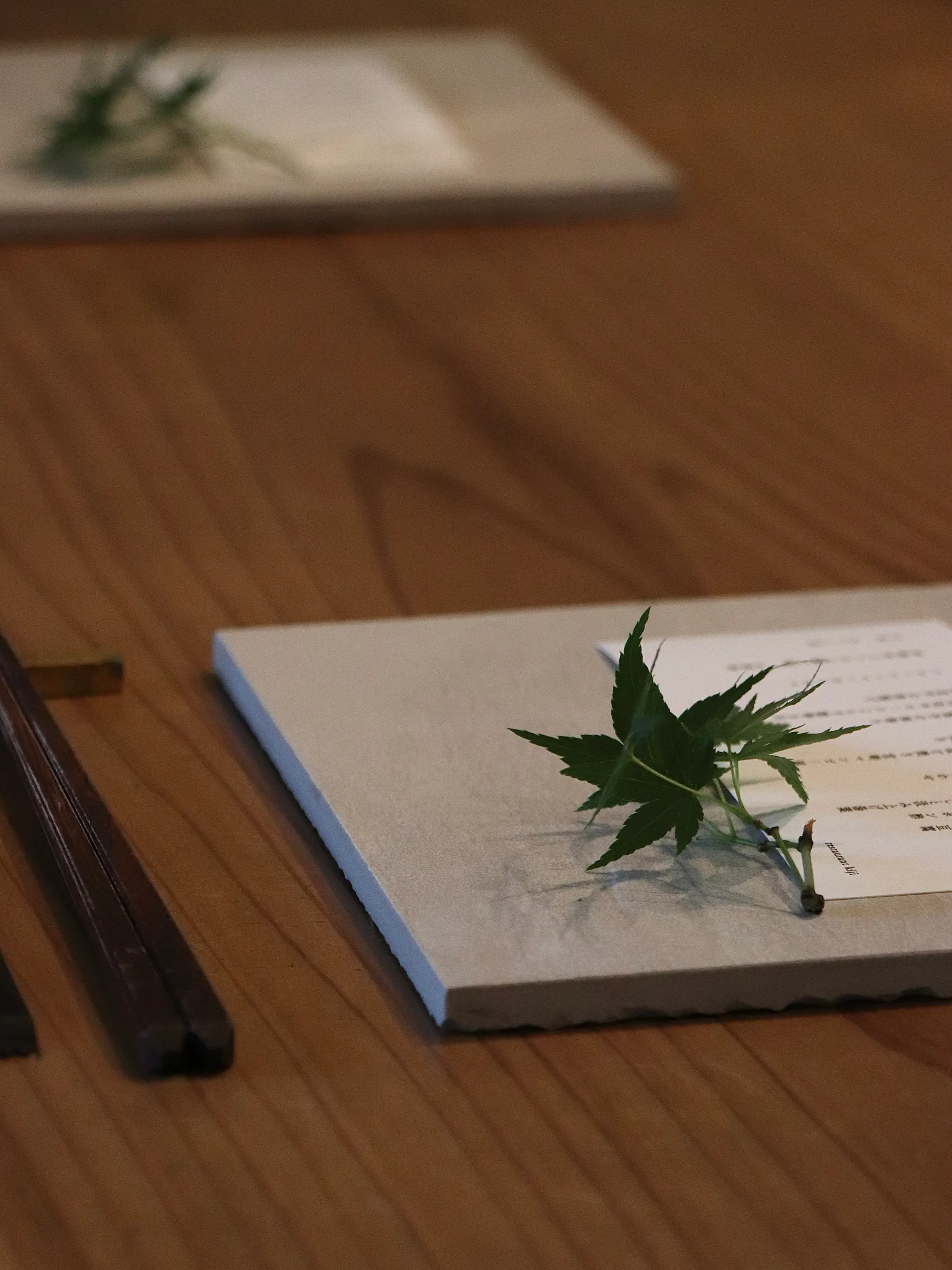 Our thanks to guests this month